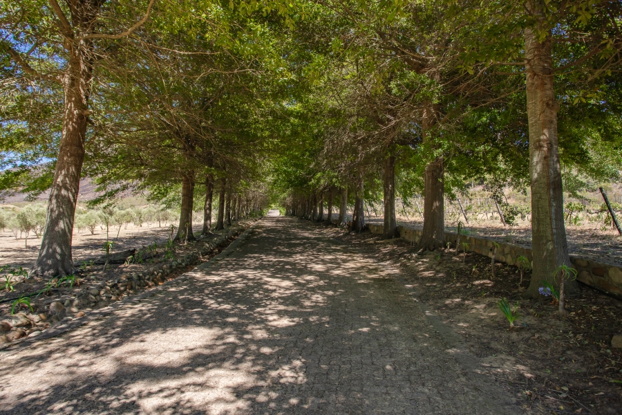 To Let 3 Bedroom Property for Rent in Franschhoek Rural Western Cape